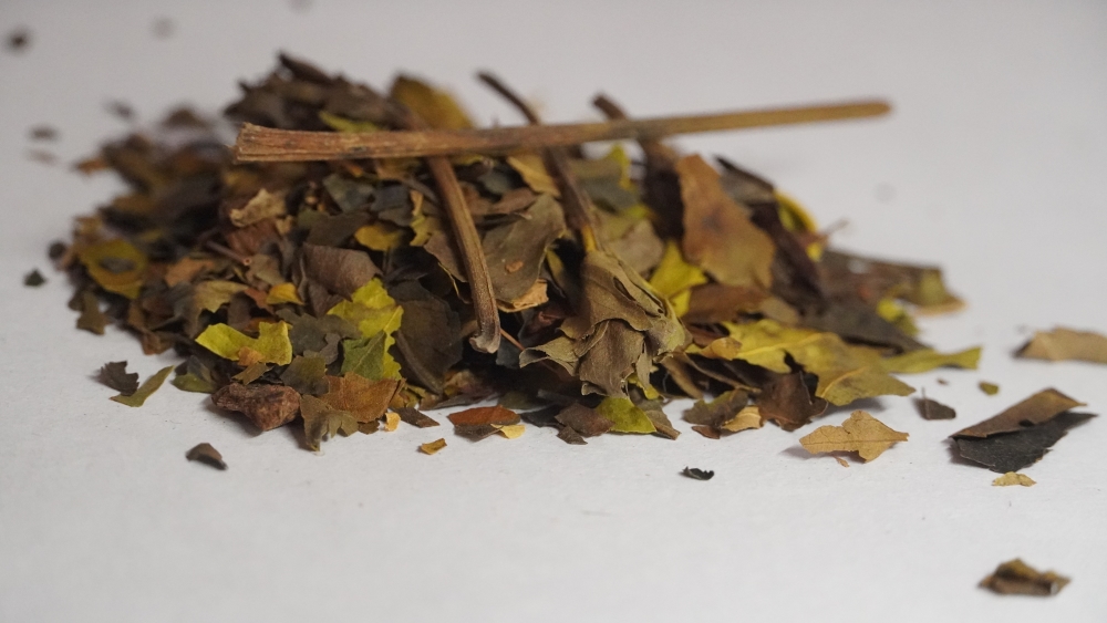 ADATHODAI- ஆடாதோடை / VASAKA / MALABAR NUT /