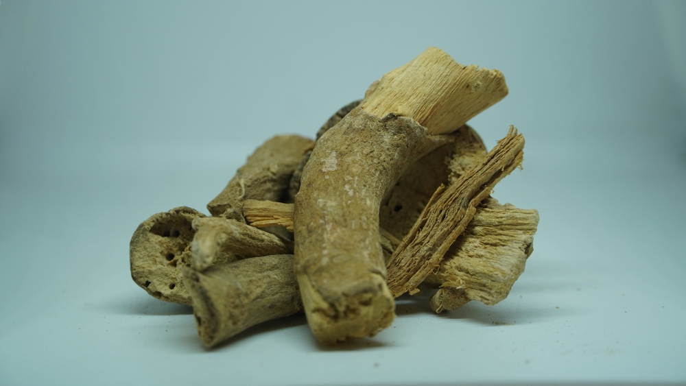 THOGAI’S-“ASHWAGANDHA” WOODEN STICK-அஸ்வகந்தா/AMUKRA/அமுக்கிரா/ WITHANIA SOMNIFERA/INDIAN WINTER CHERRY/INDIAN GINSENG