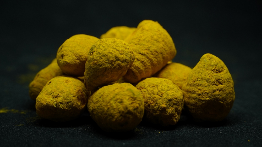 BULB TURMERIC - உருண்டை/குண்டு மஞ்சள் (आम अदरक) / CURCUMA AMADA