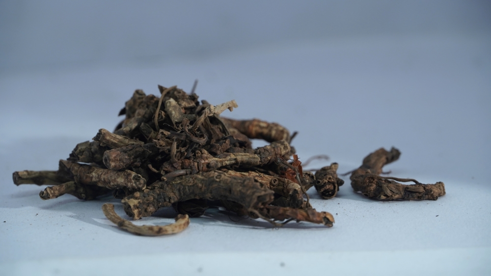 THOGAI’S-”KADUGU ROHINI”-PICRORHIZA KURROOA/கடுகு ரோகினி/KATUKAROHINI/KUTKI ROOT/HELLBORE/KURU/KATUKA/KURRI/KATUKI/KATUKO/HU HUANG LIAN/KUTKA/KADU/PICRORHIZA