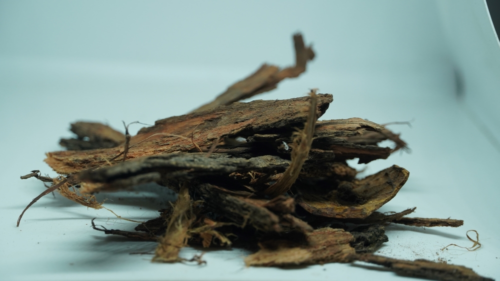 THOGAI’S-”KARUVELAM PATTAI”-MESQUITE BARK/PROSOPIS JULIFLORA/MESQUITE/கருவேலம் / KARUVELAM/बाबुल / कीकर / BABUL, KIKAR/കരിവേലം / കരുവേലും / KARIVELAN, KARUVELUM/NALLATUMMA, TUMMA, TUMA