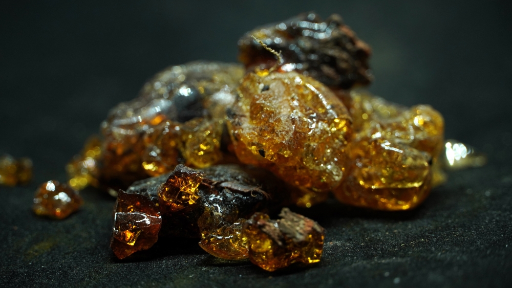 THOGAI’S-”KARUVELAM PISIN”- PROSOPIS JULIFLORA/கருவேலம் பிசின் / KARUVELAM PISIN/ MESQUITE TREE GUM / ARABIC GUM/   बाबुल / कीकर / BABUL, KIKAR/കരിവേലം / കരുവേലും / KARIVELAN, KARUVELUM/నల్లతుమ్మ / తుమ్మ / తుమ / NALLATUMMA, TUMMA, TUMA