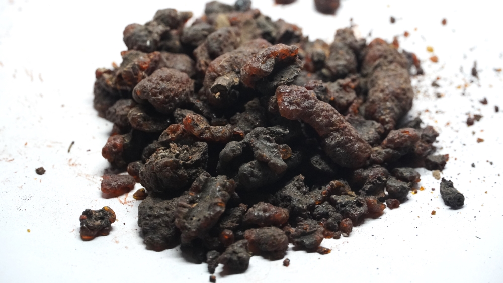 THOGAI’S-*KOMBARAKKU*- கொம்பரக்கு  / KOMBU ARAKKU / ARAGU / LAAKH / LAC / SHELLAC / LACCIFER LACCA