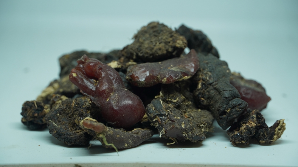 THOGAI’S-”MURUNGA PISIN”-முருங்கை பிசின்/MORINGA OLEIFERA/DRUMSTICK TREE RESIN/AHIJAN, MUNAGA/SENJANA PATTEE/MURINGAI/MOCHAKAMU, MUNAGACHETTU/अहिजान , मूँग / सेंजन पत्ती