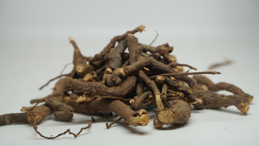 NANNARI VAER - HEMIDESMUS INDICUSI / நன்னாரி வேர் (सरसपरीला )