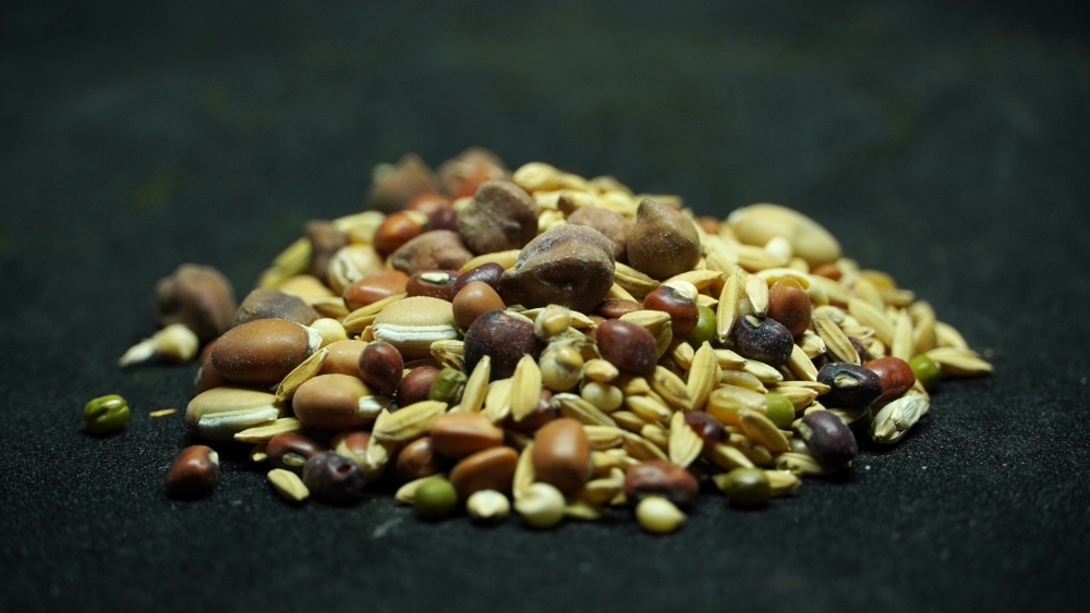 THOGAI’S-”NAVATHANIYAM”-நவதானியம் / NINE GRAINS - WHEAT, PADDY, BENGAL GRAM, WHITE BEAN, CHICKPEA, MUNG BEAN, SESAME, BLACK GRAM AND HORSE GRAM