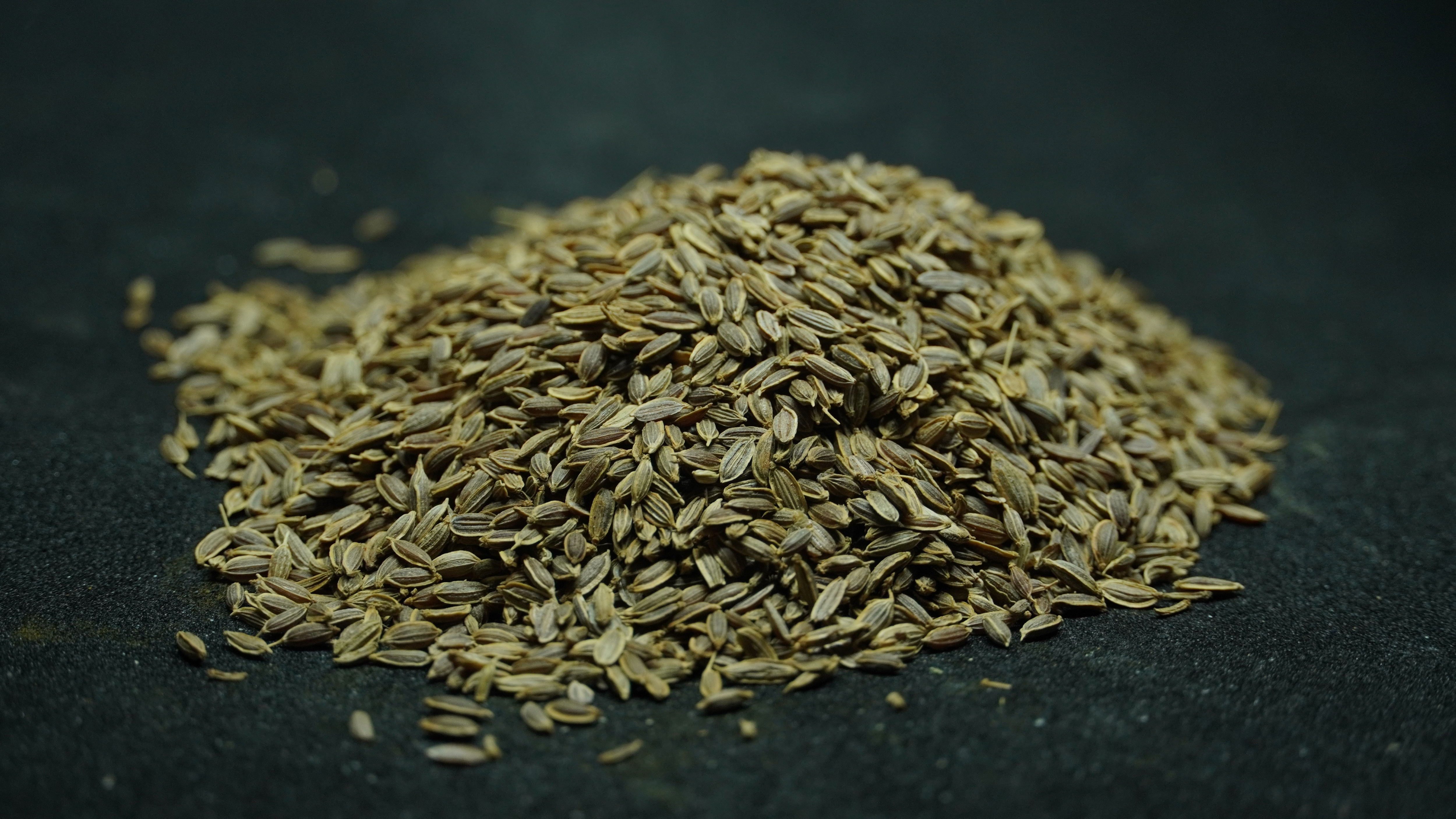 THOGAI’S-”SATHA KUPPAI”-சதகுப்பை/SATHAKUPPAI/DILL/ANETHUM SOWA/SOYO/सोयो/SATHAKUPPA/CHATAKUPPA/SADAPA VITTULU