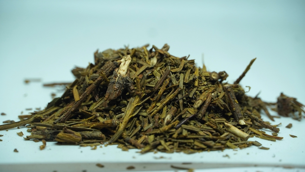 THOGAI’S-”THALICHA PATHIRI”-தாளிசபத்திரி / THALISAPATHIRI/HIMALAYAN SILVER FIR / INDIAN SILVER FIRABIES WEBBIANA / TALISAPATRAM/THALEESA PATRA/ TALISPATRA/THALEESAPATRI