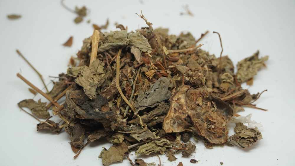 SWEET BASIL - THIRUNEETRU PACHILAI / OCIMUM BASILICUM / திருநீற்றுப்பச்சிலை (सुगंध तुलसी)