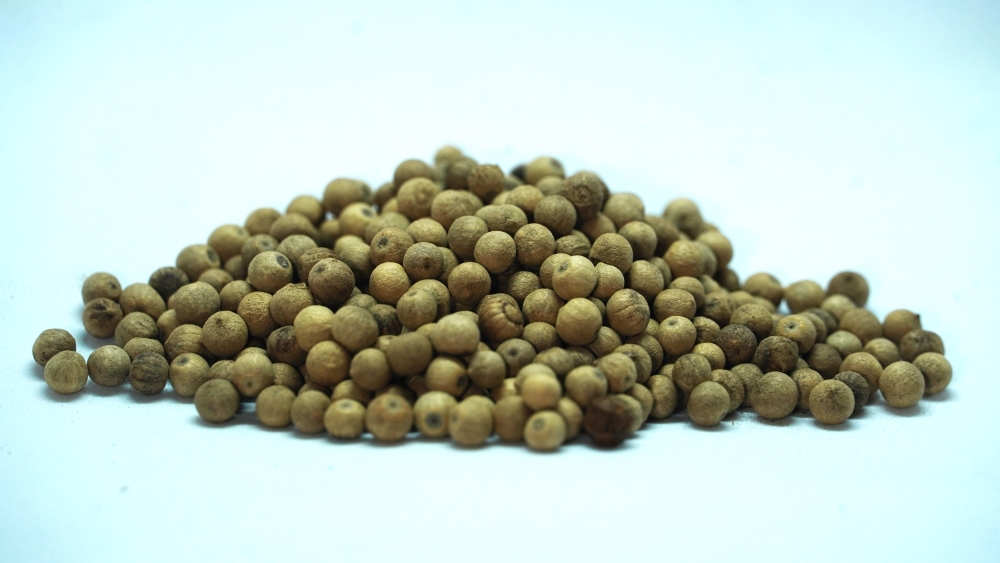 THOGAI’S-”VELLAI MILAGU”-PIPER NIGRUM/VELLAI MILAGU / வெள்ளை மிளகு/WHITE PEPPER/कालीमिर्च / KALIMIRCH/మిరియాలు / MIRIYALU/മുളക് / MULUKA